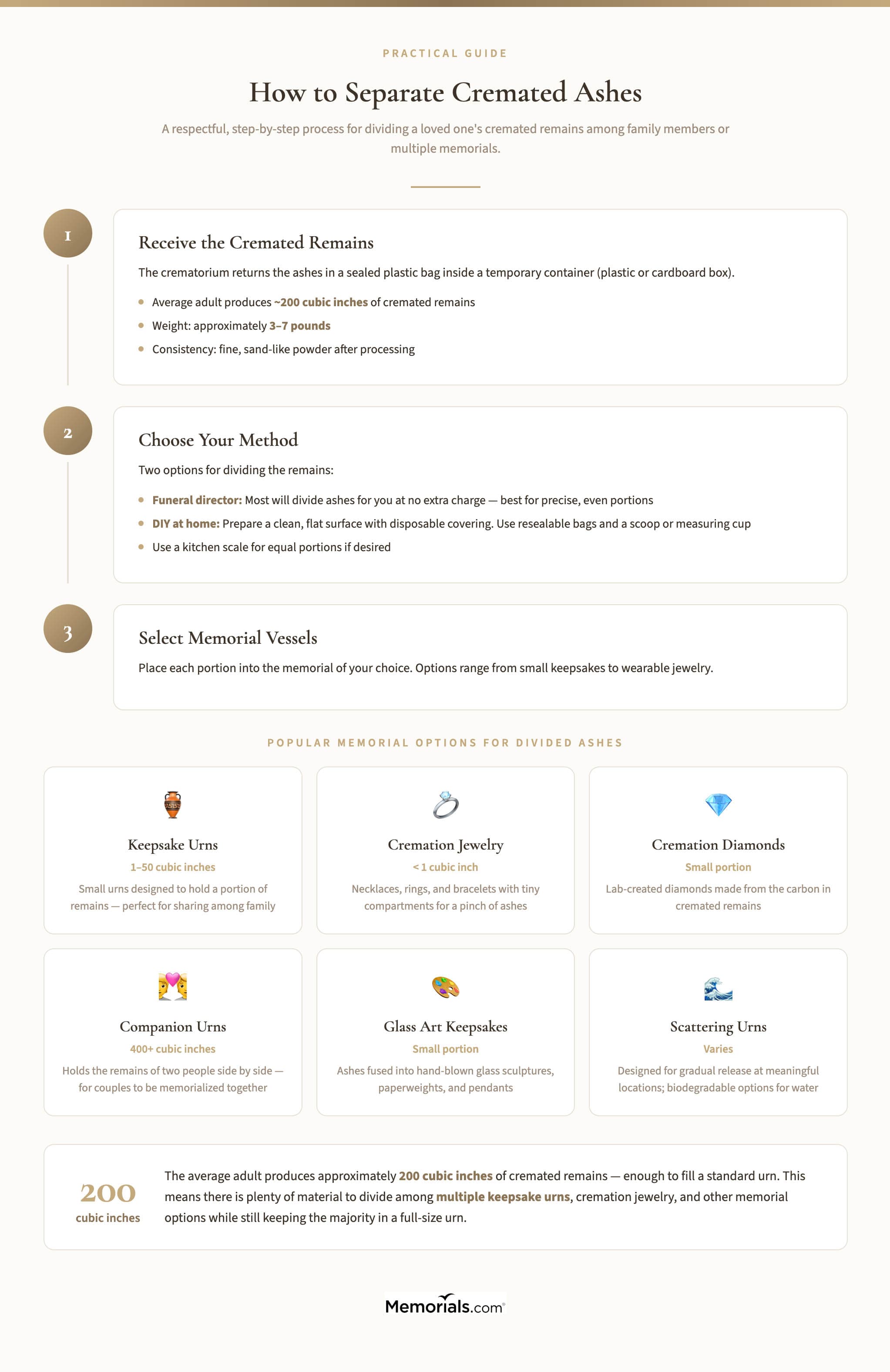 Infographic illustrating the three-step process for separating cremated ashes, from receiving remains through choosing a division method to selecting memorial vessels, with six popular options including keepsake urns, cremation jewelry, and cremation diamonds
