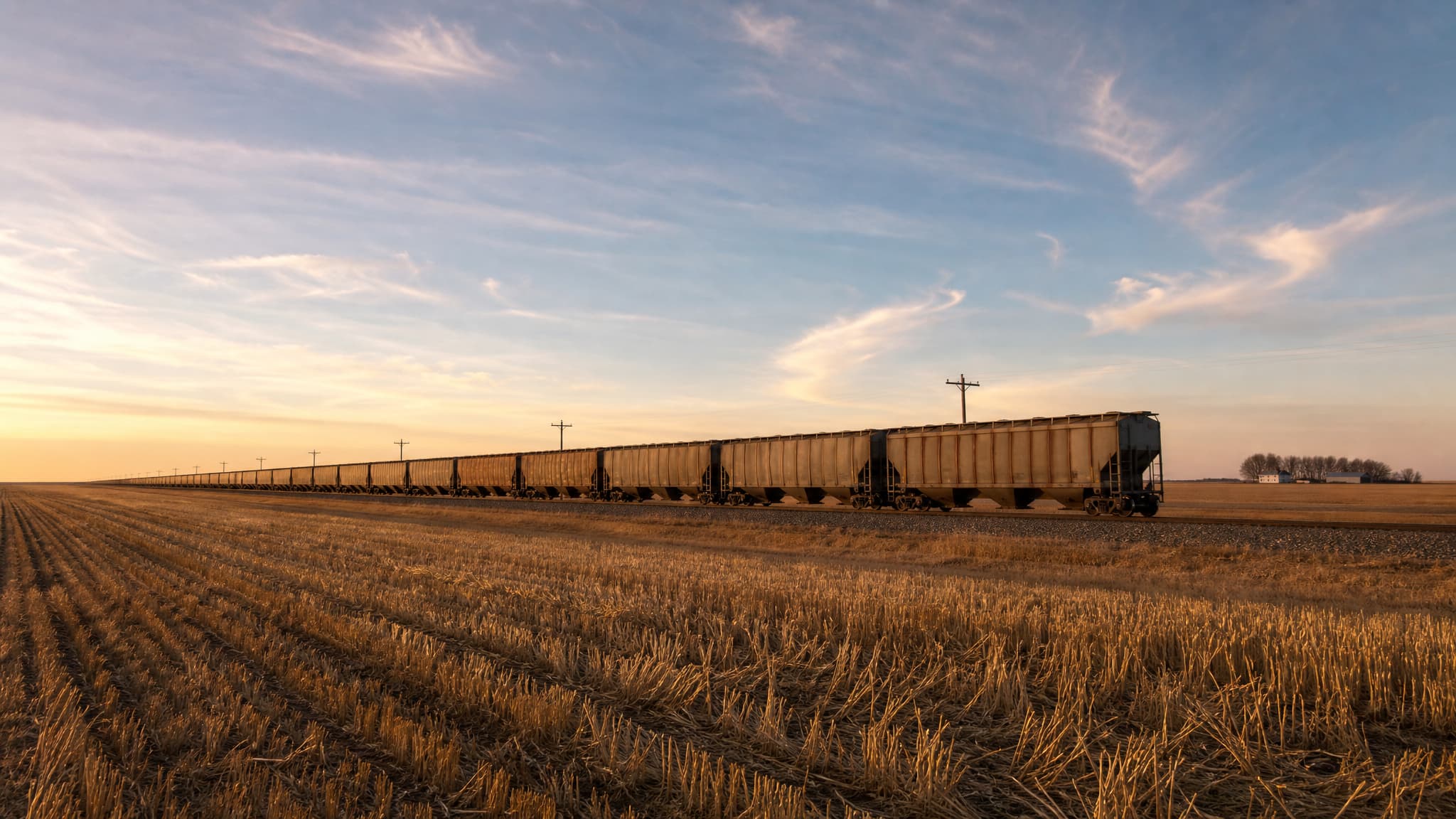 An unbroken line of covered grain hopper cars crossing flat North Dakota prairie at sunset, the train running away to the horizon past telephone poles and a distant farmstead, with a cut wheat stubble field filling the foreground