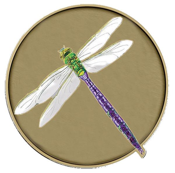 Mystic Dragonfly Medallion