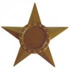 Veteran Star Flag Stake